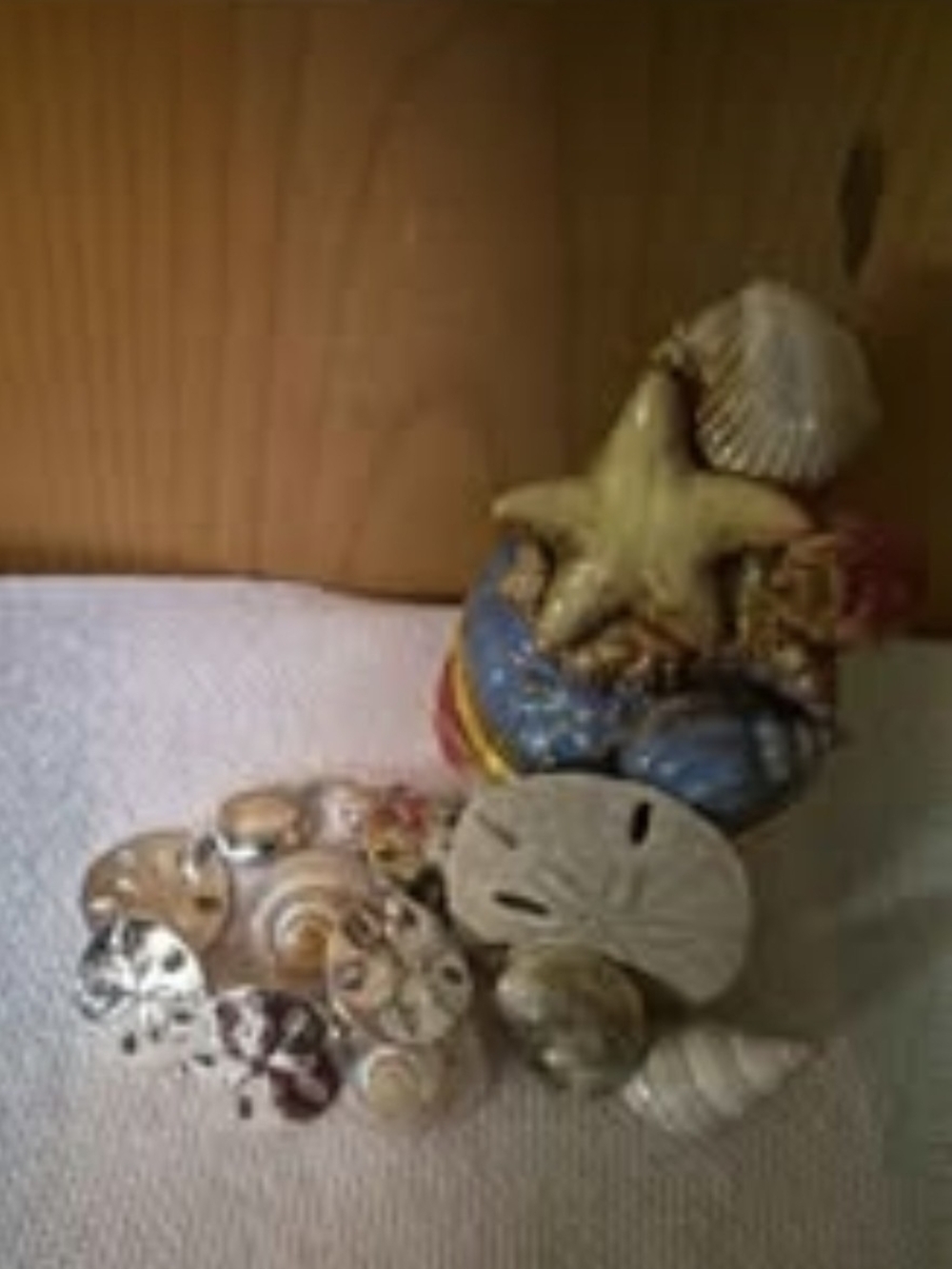 Vintage Coastal Treasure Set: Sand Dollar Charm Bracelet sz 6.5 & Hinged Trinket